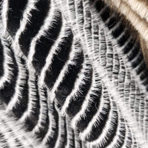 Knitted jacquard with multi-color fox fur (2)
