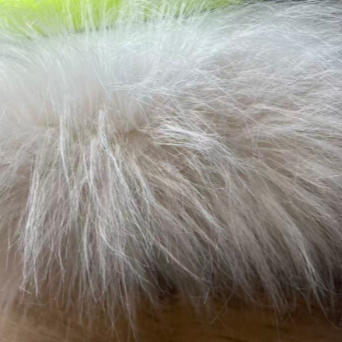 Long Pile Plush Fabric (7)