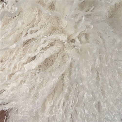 long-hair faux shearling coat (2)